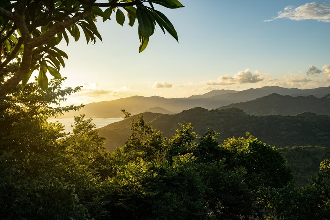 Full Day Krabi Jungle Tour media 1