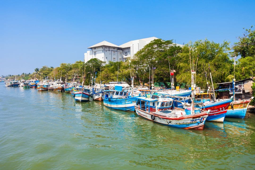 Bentota to Negombo with visit to the city by The Lagoon media 1