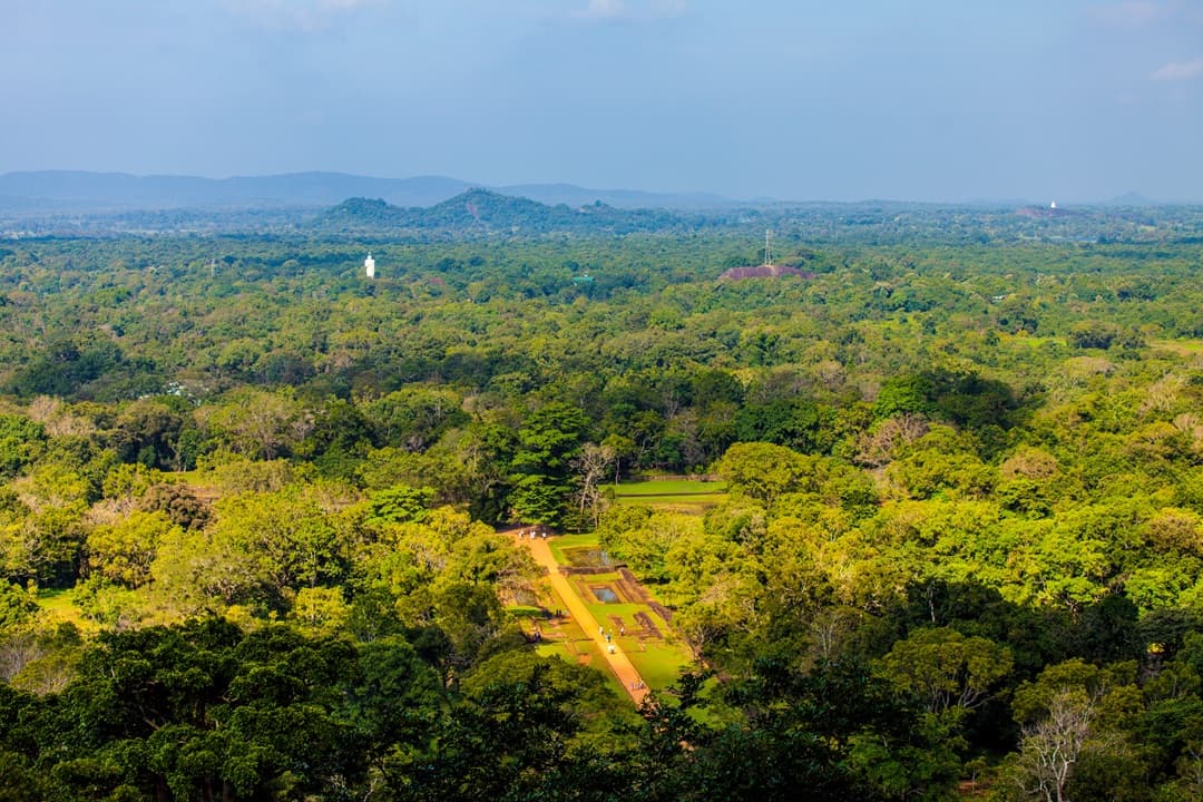 Rainforest trekking in Sinharaja media 1