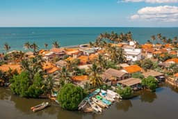 Whale Watching and Negombo City Tour