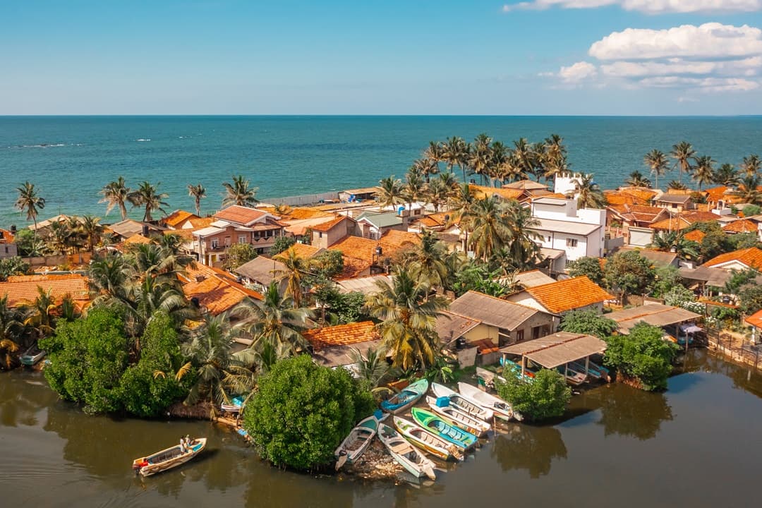 Whale Watching and Negombo City Tour media 1