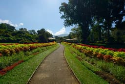 Kandy Botanical Tour