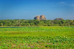 Yala Wildlife Safari