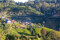 Ella to Kandy transfer via Nuwara Eliya