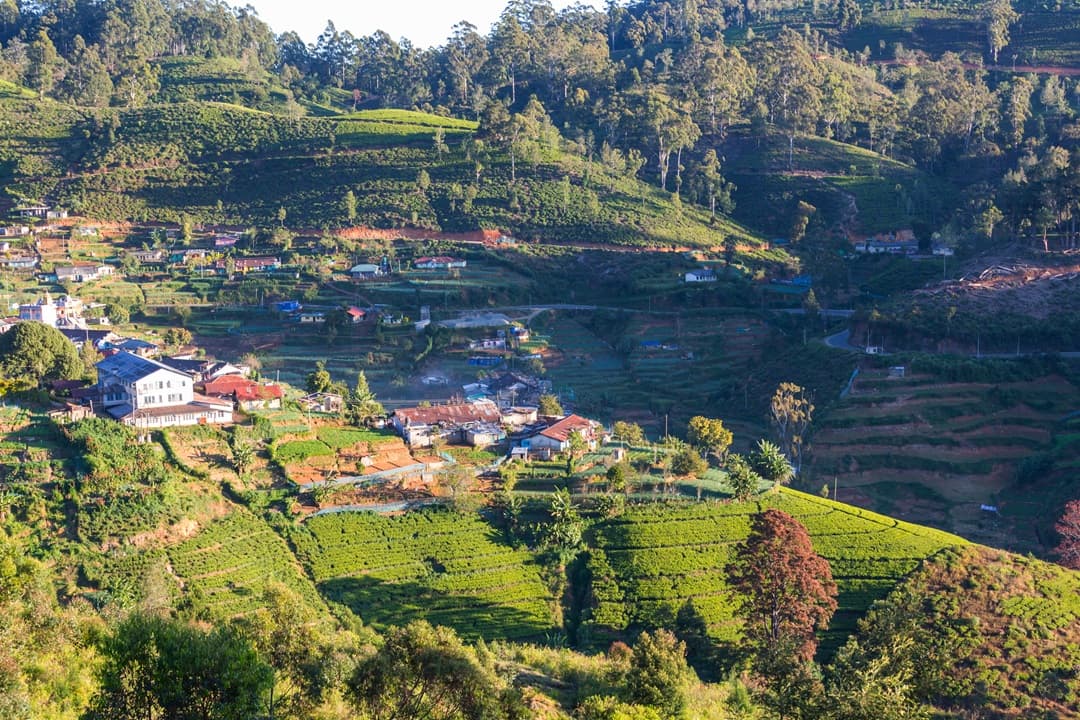 Ella to Kandy transfer via Nuwara Eliya media 1