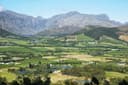 Shared Franschoek Winetram and Stellenbosch tour