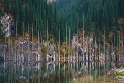 Kolsai lake And Kaindy lake with overnight stay in Saty Village