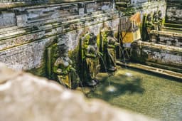 Full Day Ubud Tour from Kuta