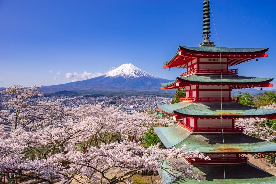 Mt Fuji & Hakone Day Tour media 1