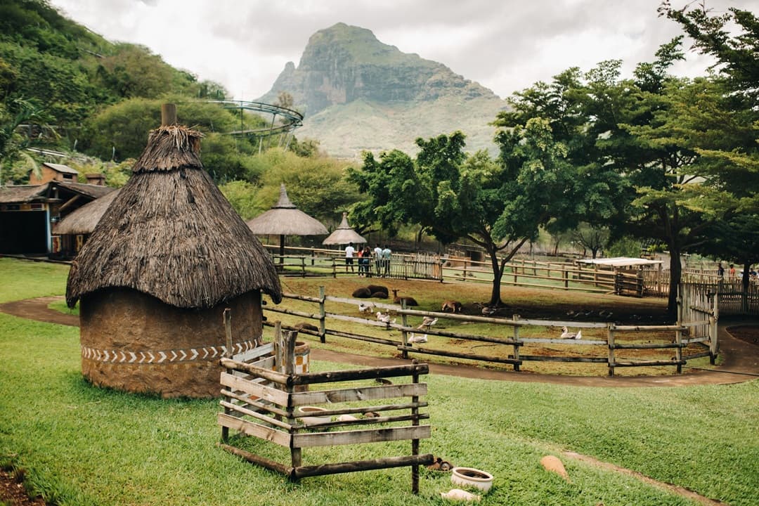 Casela Bird Park Tour media 1