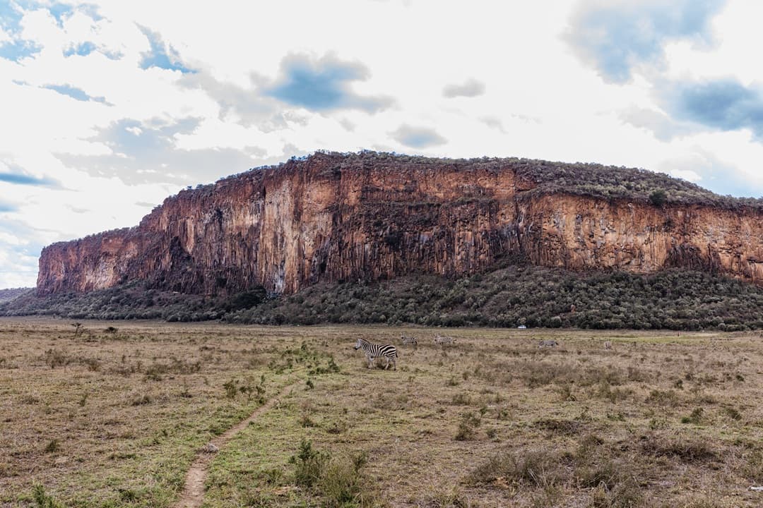 Kenya Wildlands Travel Experience