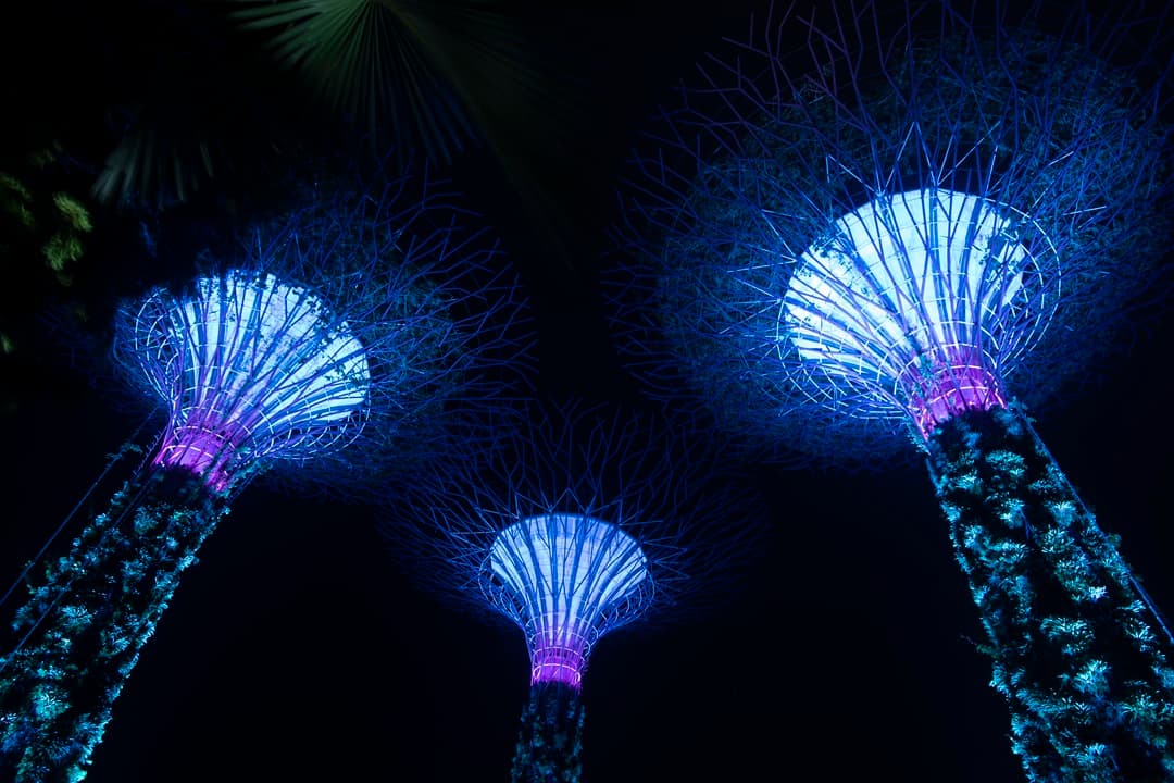 A Day of Delights in Singapore