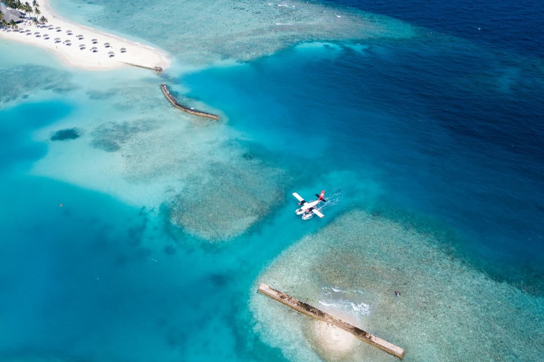 Marine Thrills & Maldives Escape