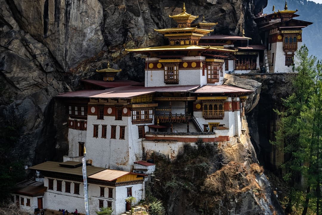 Dragon Kingdom Experience