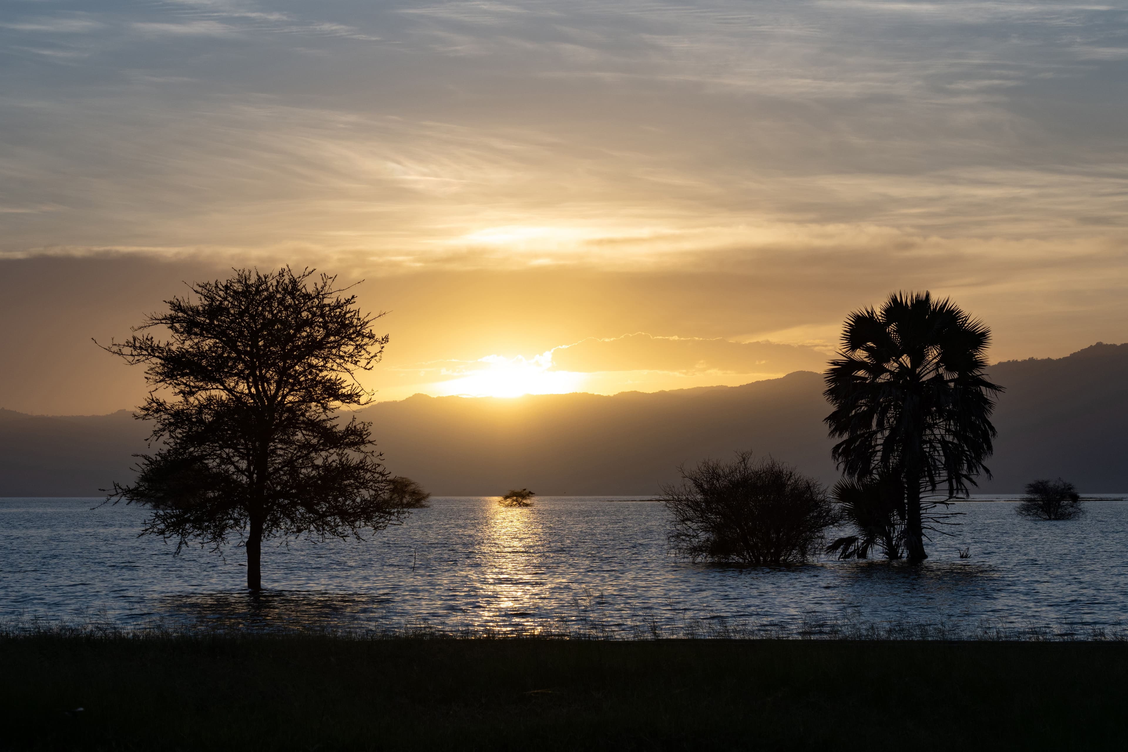 Blissful Tanzania Journey