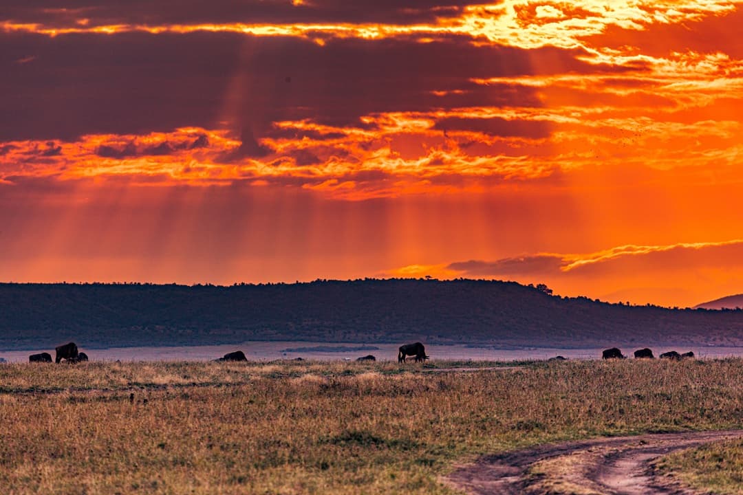 Tanzania and Kenya Getaway