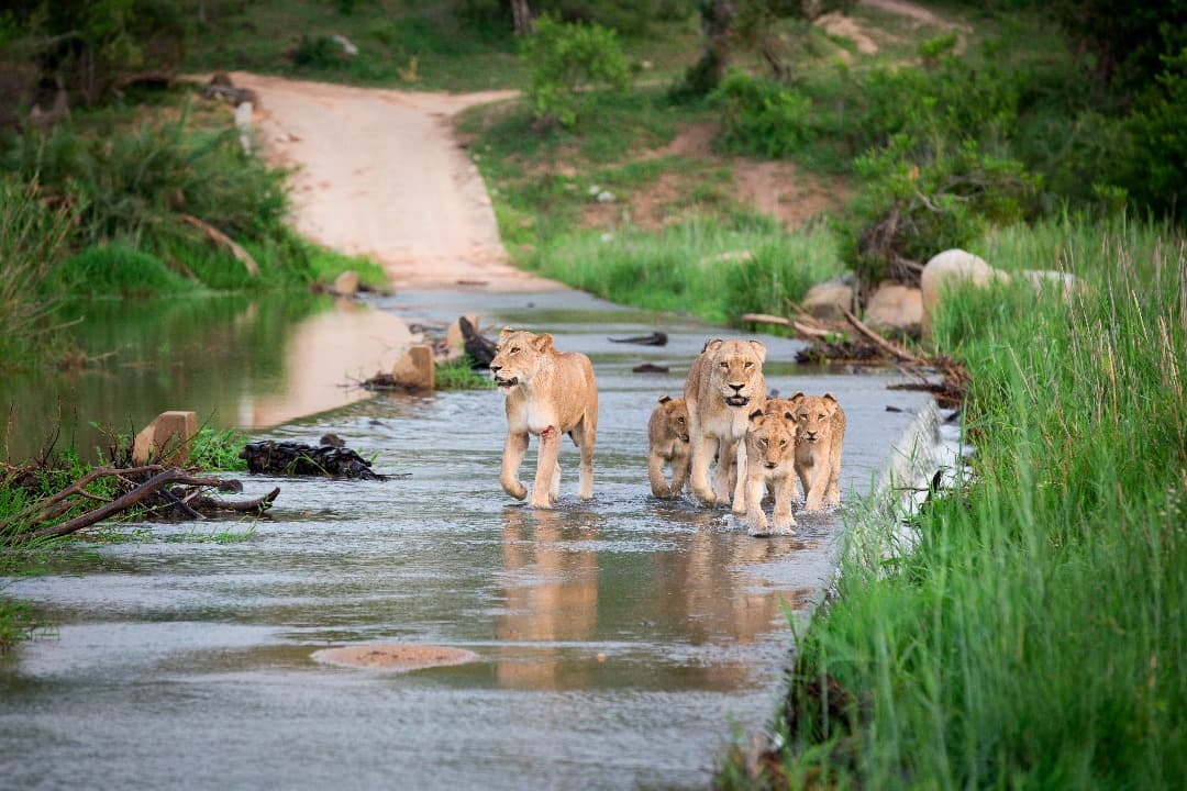 South Africa Adventure