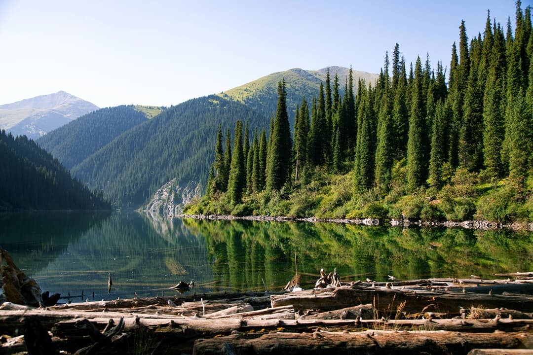 Kazakhstan Chronicles