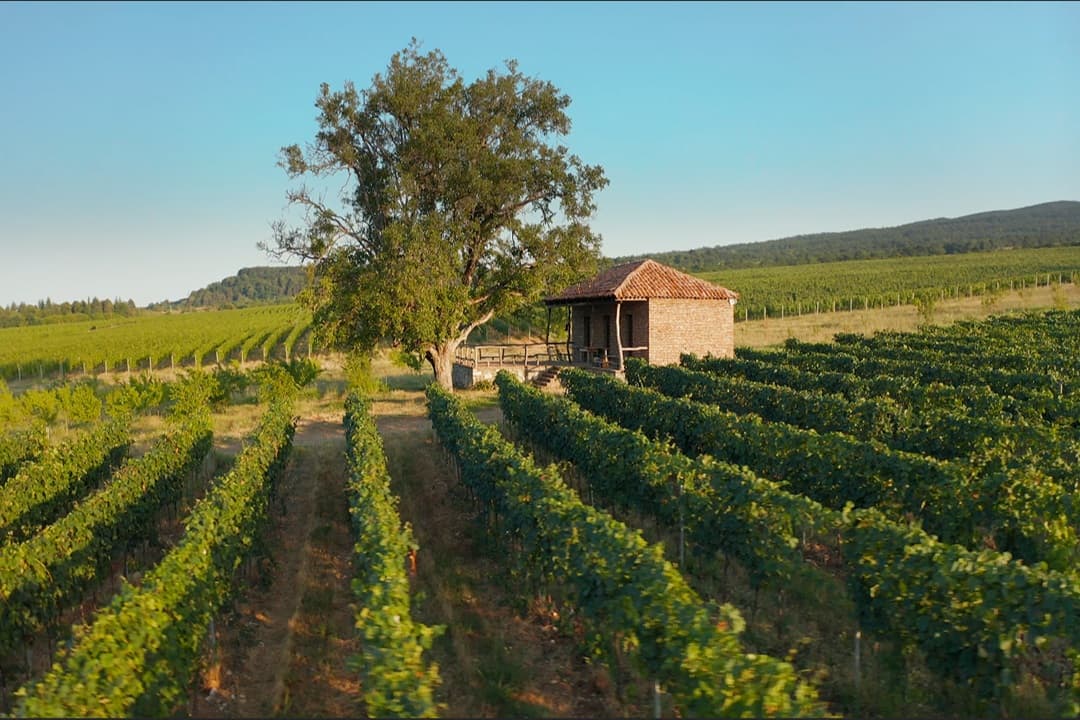 Grand Tour of Georgia