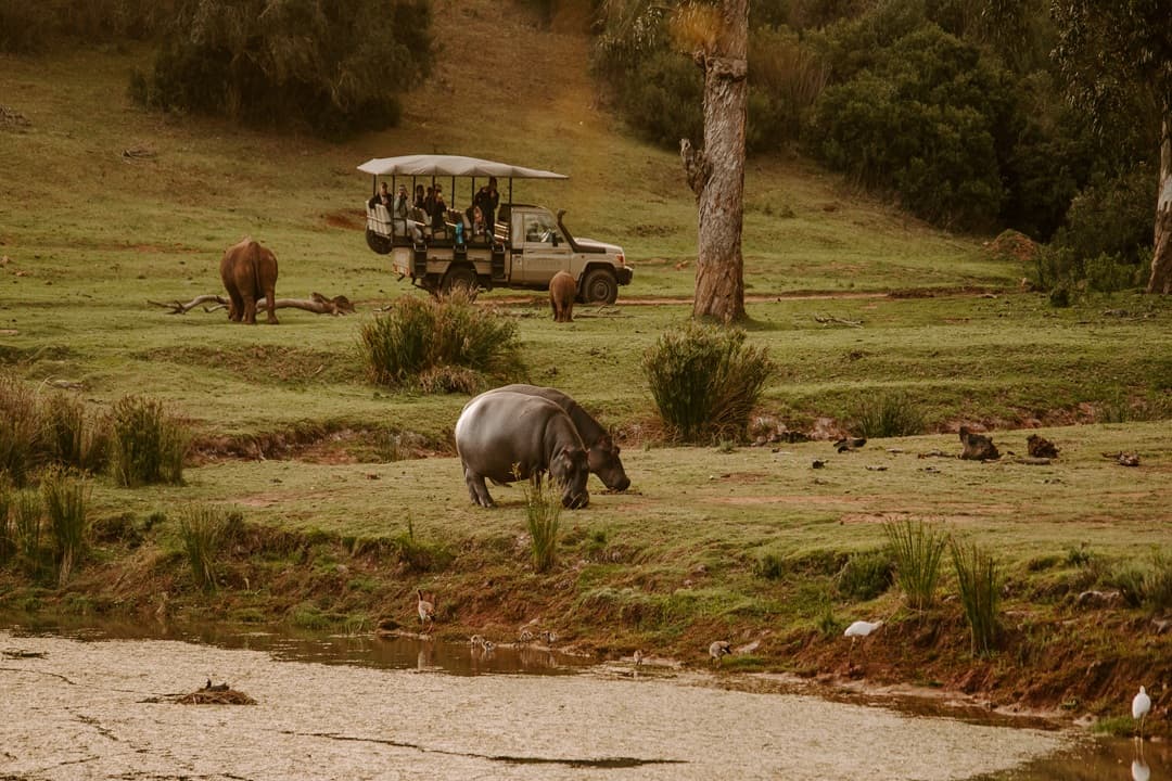 Kenya Offbeat Safari