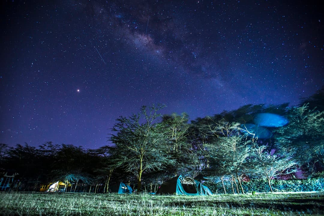 Essence of Wild Kenya