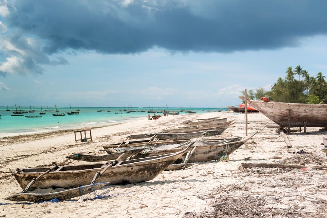 Dolphin tour, Jozani Forest, Jambiani Kuza Cave, Paje Beach &The Rock restaurent Tour media 1