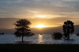 Lake Manyara Full Day Game Drive